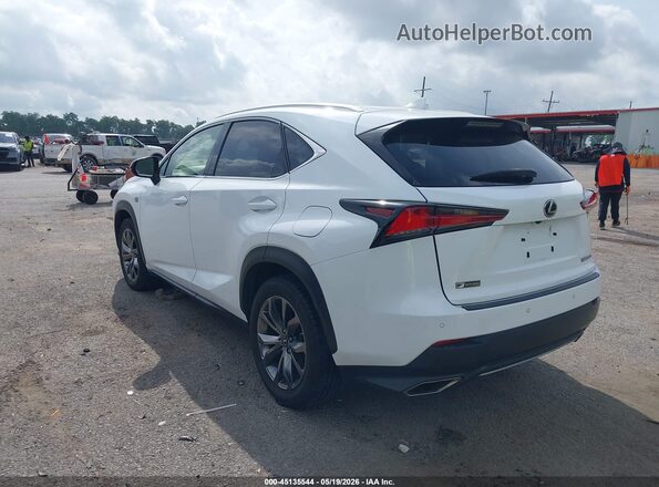 JTJSARBZ4L2166341 2020 LEXUS NX 300 White Trasero izquierdo