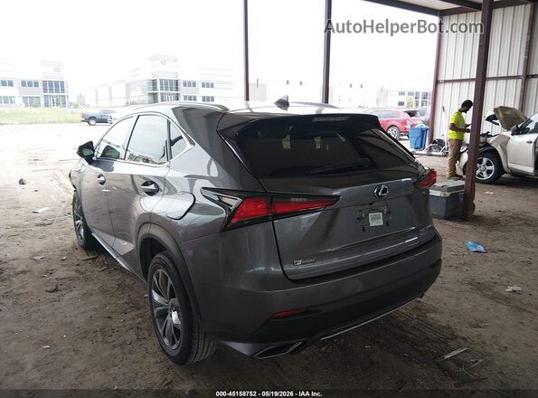 JTJSARBZ8M2197612 2021 LEXUS NX 300 Gray Հետևի ձախ