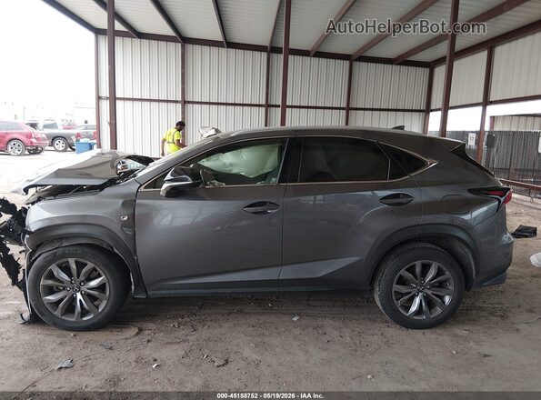 JTJSARBZ8M2197612 2021 LEXUS NX 300 Gray Սալոնի 360 աստիճան տեսք