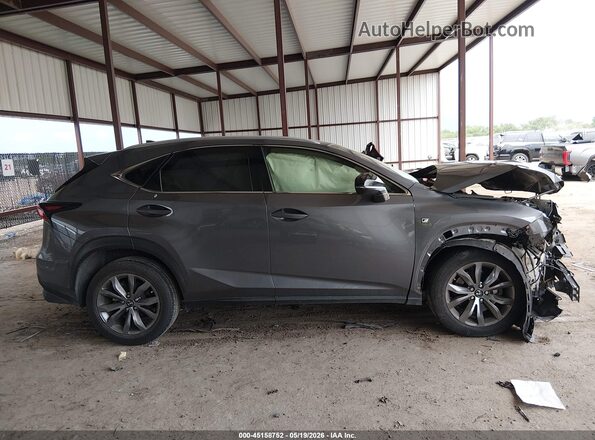 JTJSARBZ8M2197612 2021 LEXUS NX 300 Gray Սալոնի հետևի տեսք