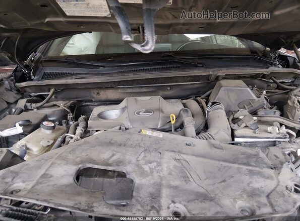 JTJSARBZ8M2197612 2021 LEXUS NX 300 Gray Հետևի տեսք