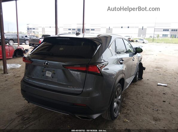 JTJSARBZ8M2197612 2021 LEXUS NX 300 Gray Հետևի աջ