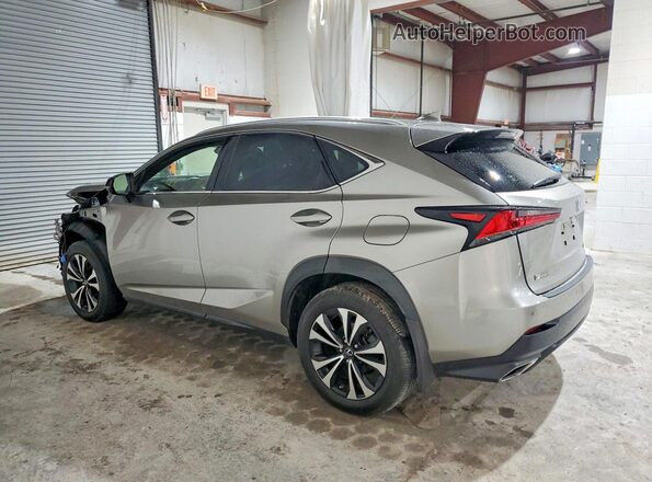 JTJSARDZ1M2263723 2021 LEXUS NX Серебряный Задняя левая четверть