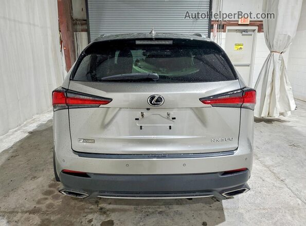 JTJSARDZ1M2263723 2021 LEXUS NX Серебряный Вид сзади