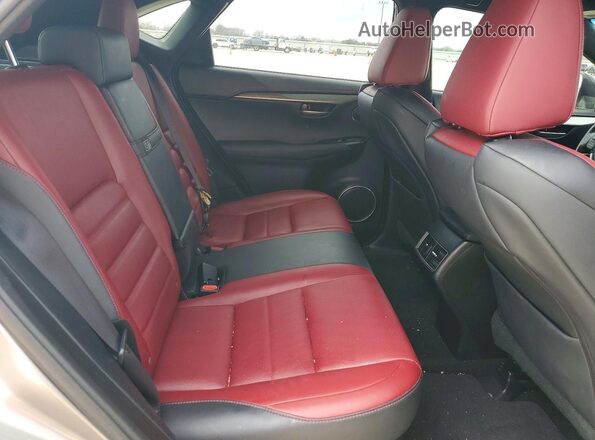 JTJYARBZ1G2043516 2016 LEXUS NX Золотой Вид задней части салона