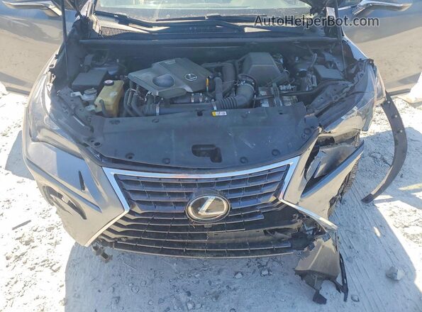 JTJYARBZ3K2135235 2019 LEXUS NX Gray 
