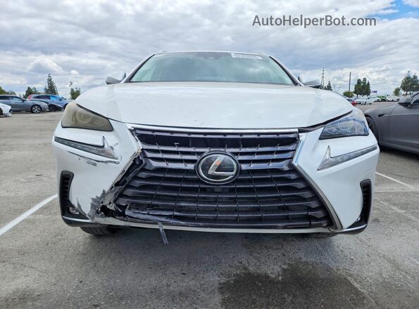 JTJYARBZ3K2141035 2019 LEXUS NX White 
