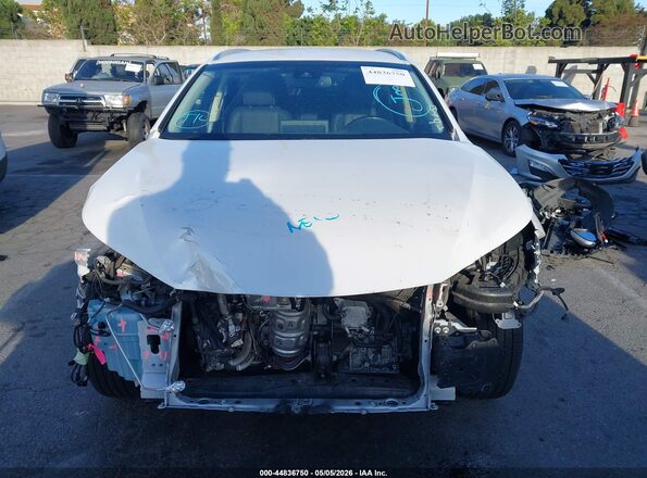 JTJYARBZ6K2139585 2019 LEXUS NX 300 White უკანა სალონის ხედი