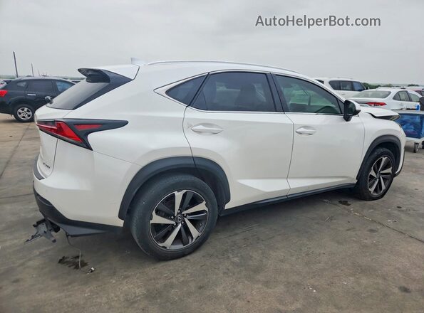 JTJYARBZXJ2103476 2018 LEXUS NX White Հետևի աջ