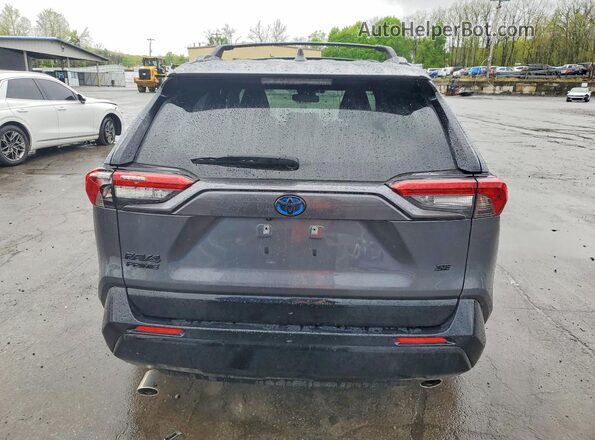 JTMAB3FV9RD176392 2024 TOYOTA RAV4 Gray 