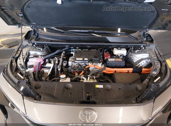 JTMABACA9SA096068 2025 TOYOTA BZ4X Gray უკანა ხედი
