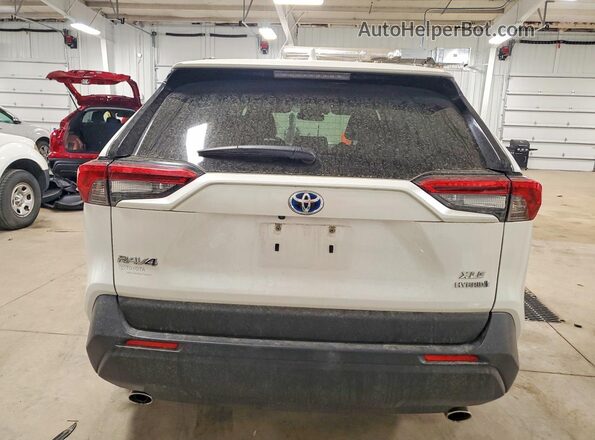 JTMB6RFV0ND529589 2022 TOYOTA RAV4 Белый Вид сзади
