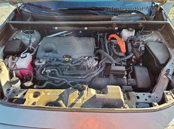 JTMB6RFV0PD103470 2023 TOYOTA RAV4 Gray 