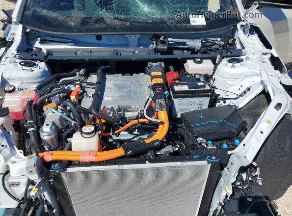 JTMBCAEB1TA002919 2026 TOYOTA LE White 