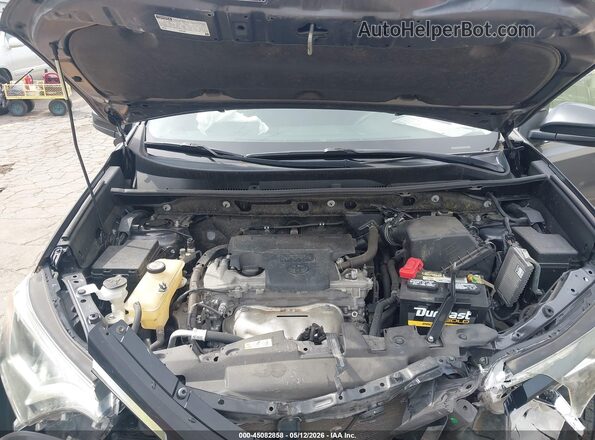 JTMBFREV9JJ244662 2018 TOYOTA LE Gray უკანა ხედი