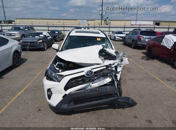 JTMC1RFV8LD044228 2020 TOYOTA RAV4 White Սալոնի հետևի տեսք
