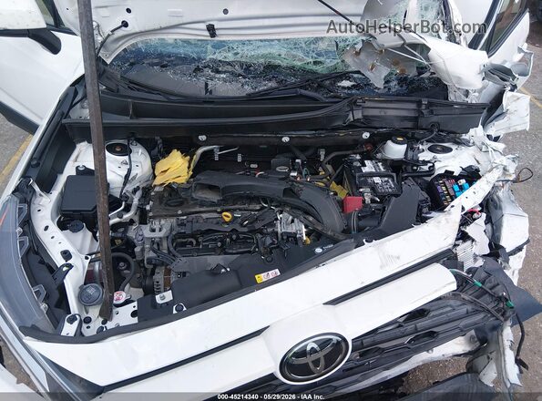 JTMC1RFV8LD044228 2020 TOYOTA RAV4 White Հետևի տեսք