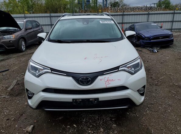 JTMDFREV1GD193612 2016 TOYOTA RAV4 Белый 