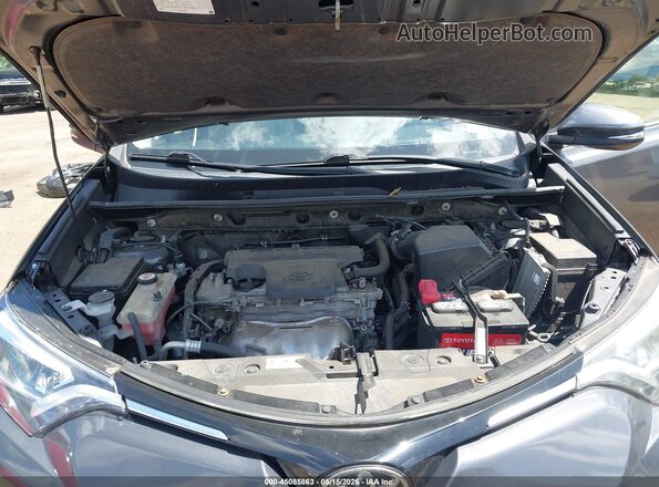 JTMDFREV2HJ119005 2017 TOYOTA RAV4 Серый Вид сзади