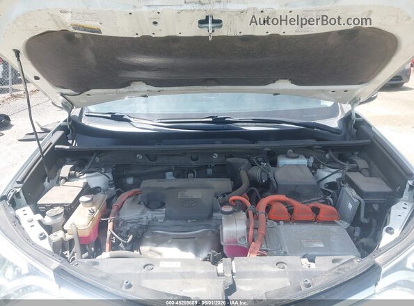 JTMDJREV2GD012032 2016 TOYOTA RAV4 HYBRID White უკანა ხედი