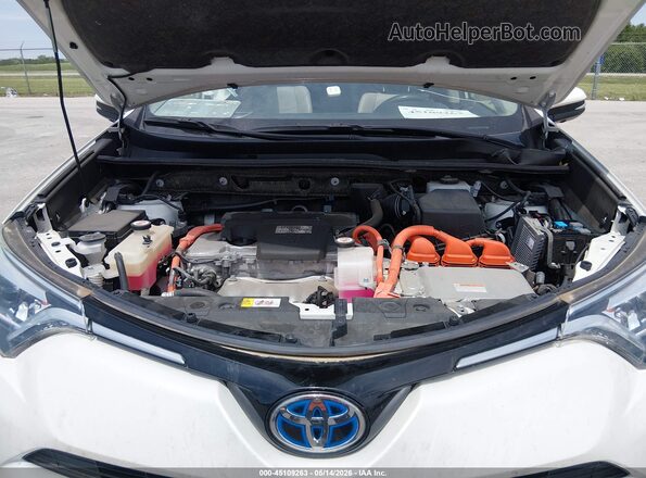 JTMDJREV2HD076282 2017 TOYOTA LIMITED White Rear view