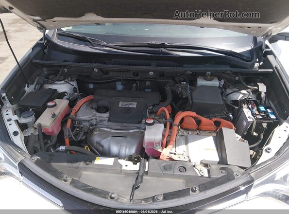 JTMDJREV3GD019605 2016 TOYOTA LIMITED White Հետևի տեսք