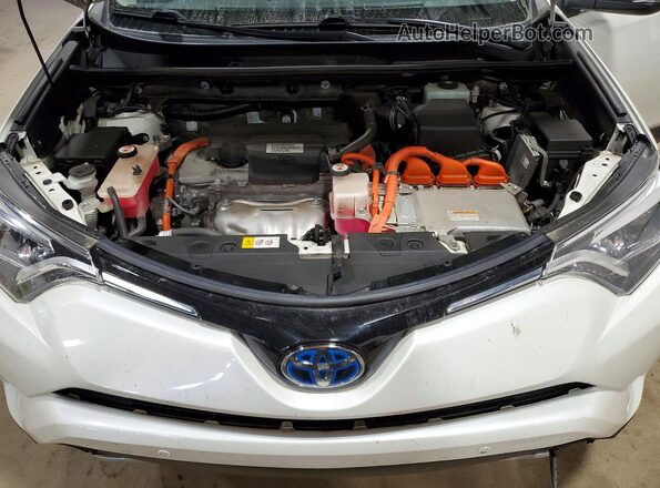 JTMDJREV3HD121908 2017 TOYOTA RAV4 Белый 