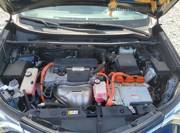 JTMDJREV3JD235557 2018 TOYOTA RAV4 Синий 