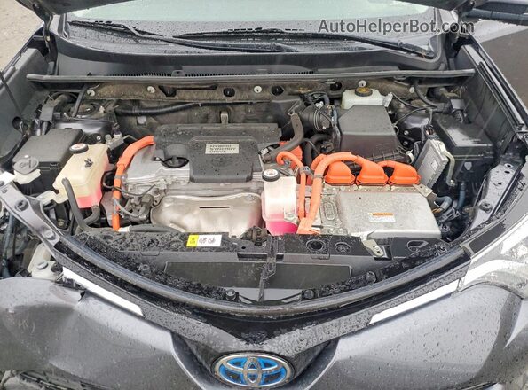 JTMDJREVXHD062033 2017 TOYOTA RAV4 Charcoal უკანა სალონის ხედი
