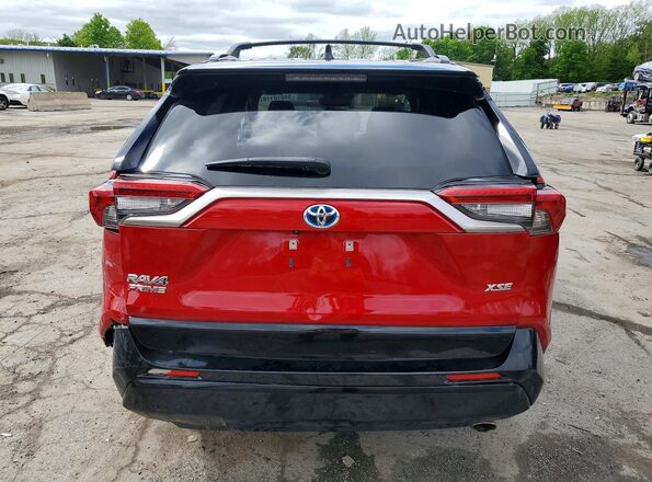 JTMEB3FV3PD117532 2023 TOYOTA RAV4 Red Հետևի տեսք