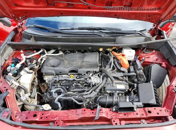 JTMEB3FV3PD117532 2023 TOYOTA RAV4 Red Շարժիչի բաժամունքի տեսք
