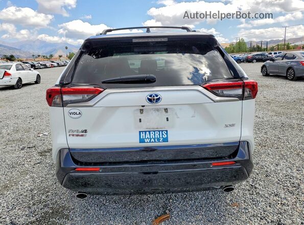 JTMEB3FV4PD122156 2023 TOYOTA RAV4 White უკანა ხედი