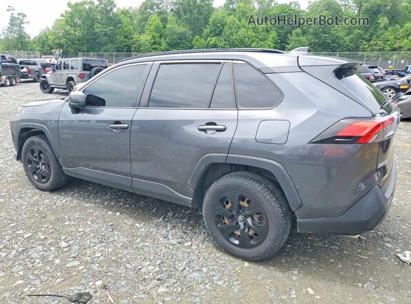 JTMH1RFV2KD011133 2019 TOYOTA RAV4 Gray უკანა მარცხენა