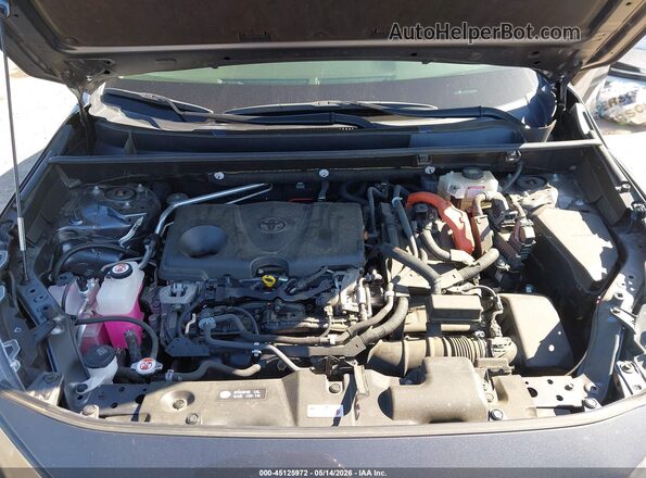 JTMLWRFV0KD507057 2019 TOYOTA RAV4 HYBRID Gray Вид ззаду
