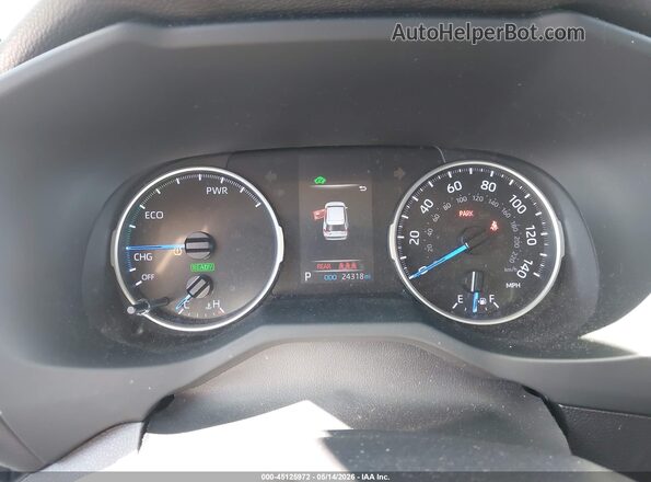 JTMLWRFV0KD507057 2019 TOYOTA RAV4 HYBRID Gray Вид задніх сидінь