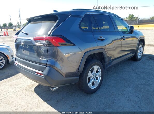 JTMLWRFV0KD507057 2019 TOYOTA RAV4 HYBRID Gray Задня права чверть