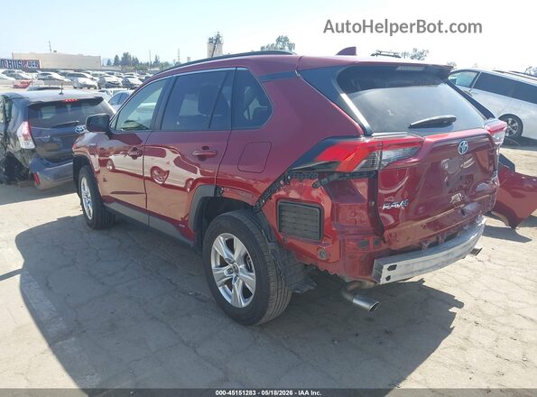 JTMLWRFV2MD111506 2021 TOYOTA RAV4 HYBRID Maroon Հետևի ձախ