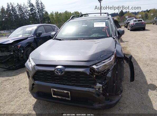 JTMMWRFV7RD241440 2024 TOYOTA LE Blue Vista interior trasera