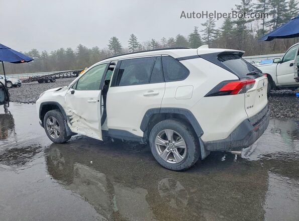 JTMMWRFV8RD264662 2024 TOYOTA RAV White Rear left