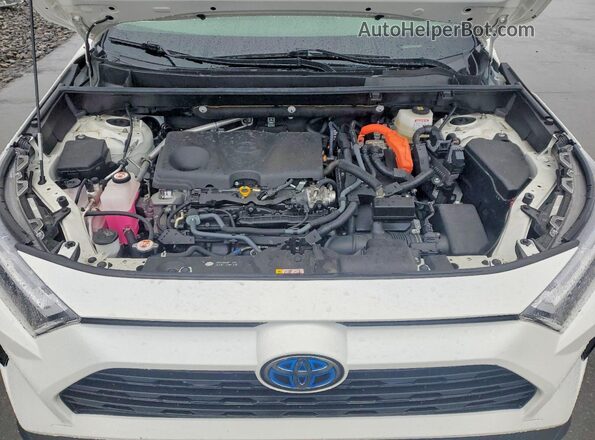 JTMMWRFV8RD264662 2024 TOYOTA RAV White Rear interior view