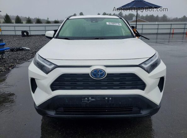 JTMMWRFV8RD264662 2024 TOYOTA RAV White Front view