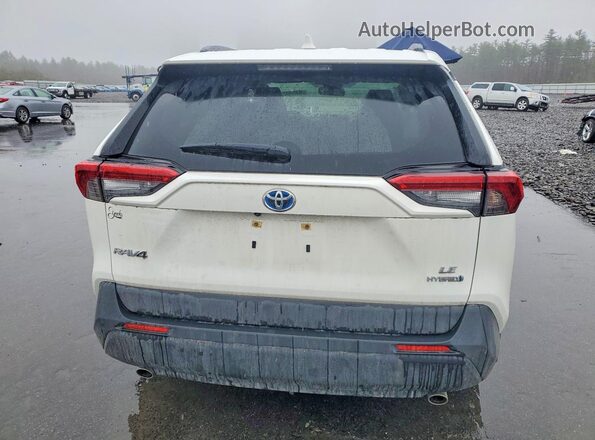 JTMMWRFV8RD264662 2024 TOYOTA RAV White Rear view