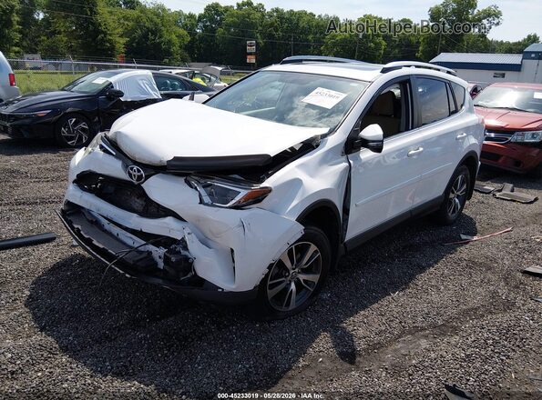 JTMRFREV3GJ065377 2016 TOYOTA RAV4 Белый 