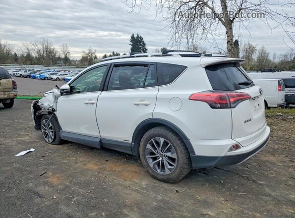 JTMRJREV9GD053084 2016 TOYOTA RAV4 White Trasero izquierdo