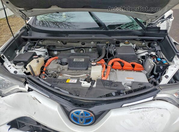JTMRJREV9GD053084 2016 TOYOTA RAV4 White Vista interior trasera