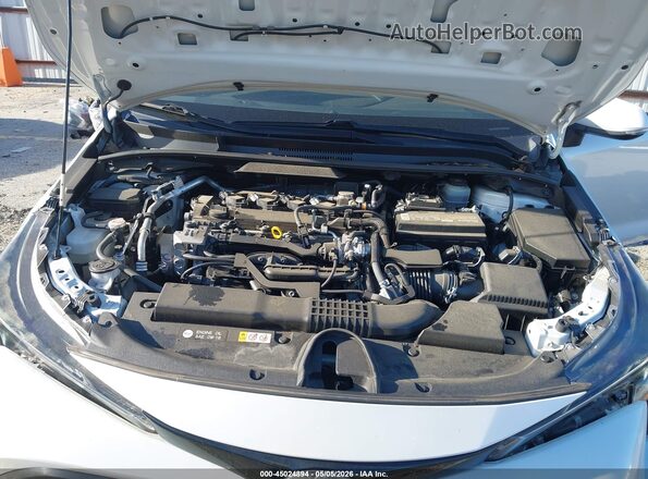 JTND4RBE1L3095265 2020 TOYOTA LL White Вид ззаду