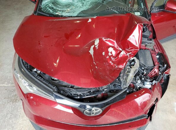 JTNKHMBX2K1036672 2019 TOYOTA C-HR Red Սալոնի հետևի տեսք