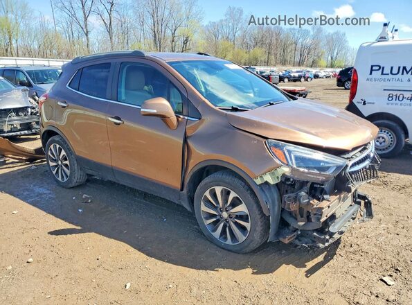 KL4CJCSB0HB114455 2017 BUICK ENCORE Коричневый 