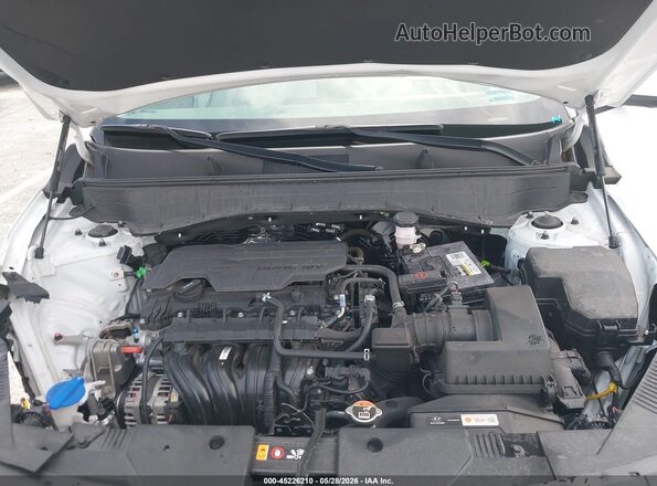 KM8HB3AB6RU149495 2024 HYUNDAI KONA Белый Вид сзади