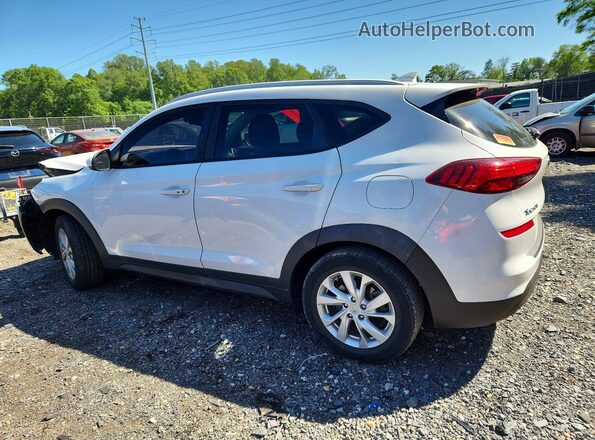KM8J33A49LU170235 2020 HYUNDAI TUCSON Белый 